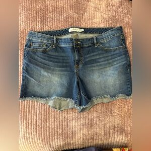 Torrid Denim Cutoff Shorts